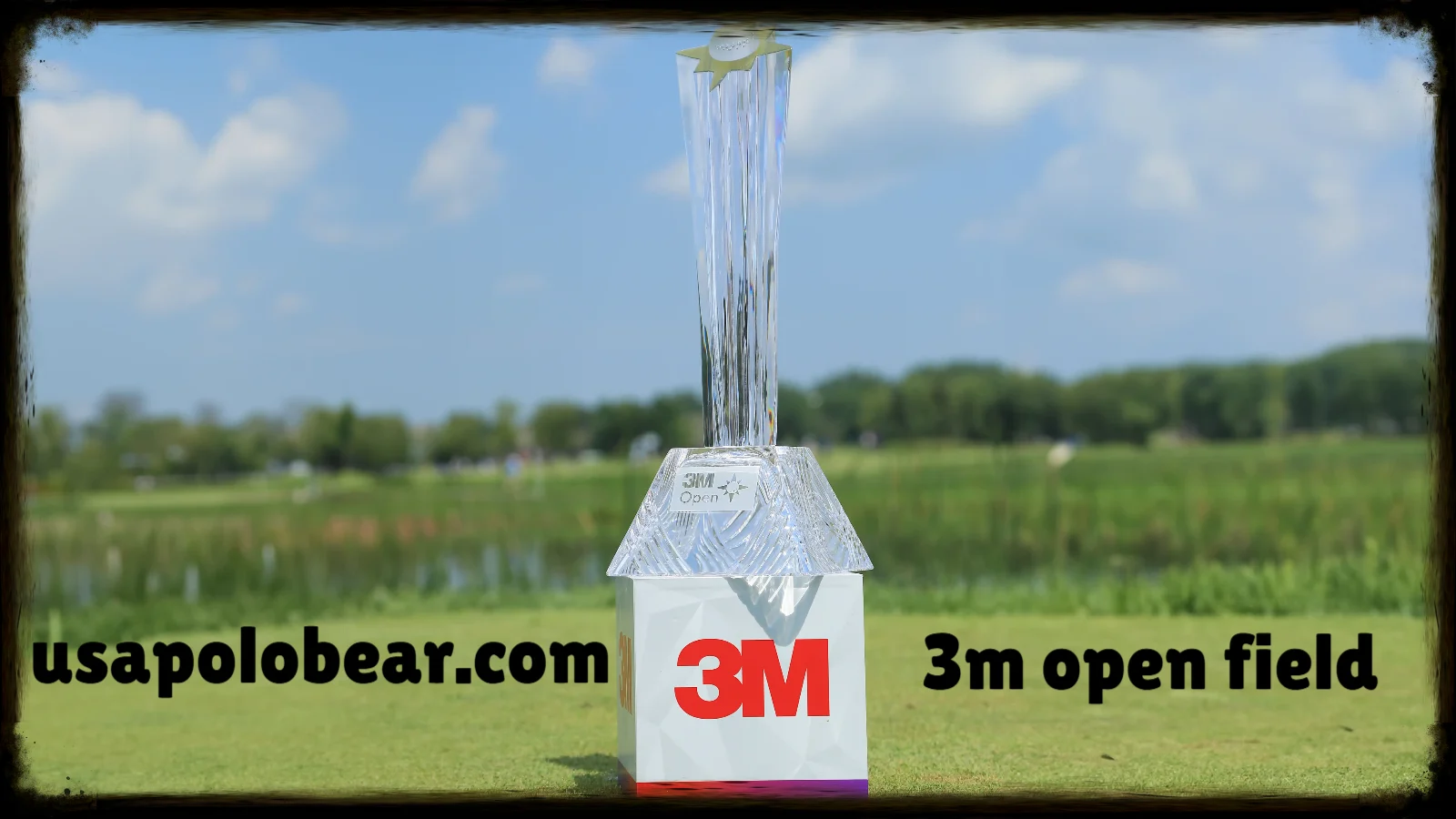 3m open field